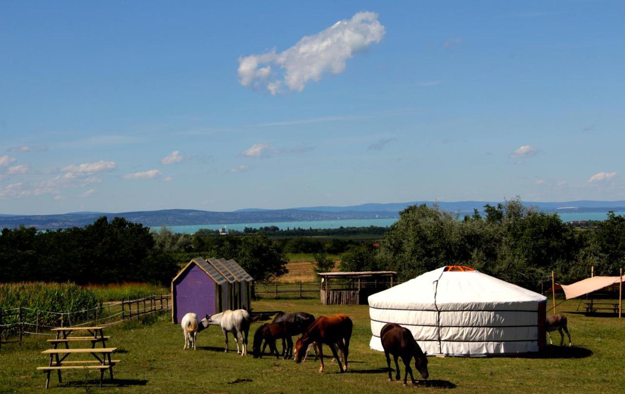 Dharma Horse Shelter Bungalows & Farmping Siófok Exterior foto